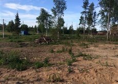 ������ ��������� ������� �� 23 �� �� ���� ���� ��������� (���� �3)