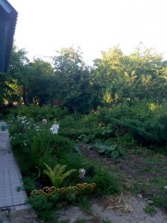 ������ ��������� ������� �� 70 �� �� ���� ���������� ������� ������������� ����� ����������� ������� (���� �6)