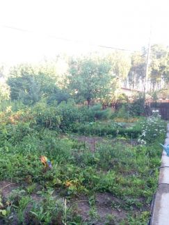 ������ ��������� ������� �� 70 �� �� ���� ���������� ������� ������������� ����� ����������� ������� (���� �7)