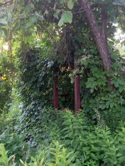 ������ ��������� ������� �� 70 �� �� ���� ���������� ������� ������������� ����� ����������� ������� (���� �9)