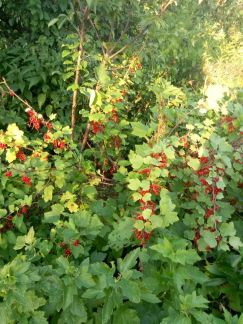 ������ ��������� ������� �� 70 �� �� ���� ���������� ������� ������������� ����� ����������� ������� (���� �10)