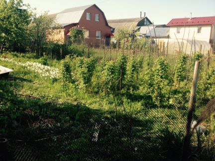 ������ ��������� ������� �� 6 �� �� ���� ������� ���������� (���� �4)