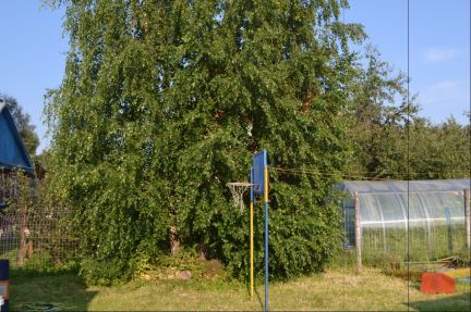 ������ ��� �� 25 �� �� ���� ������������� �����. ������� (���� �5)