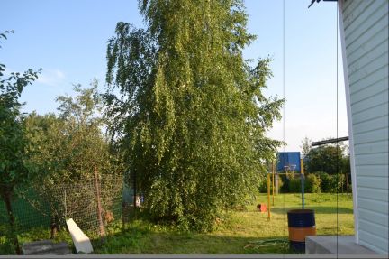 ������ ��� �� 25 �� �� ���� ������������� �����. ������� (���� �7)