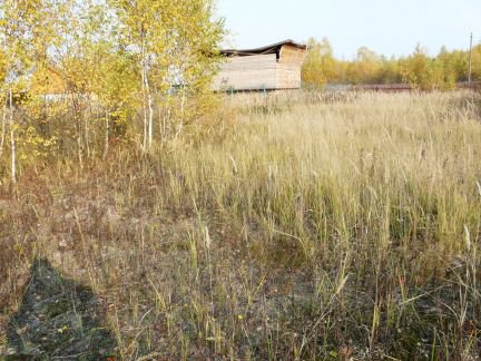 ������ ��������� ������� ��������� ��� ������� (���� �2)