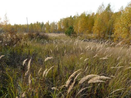 ������ ��������� ������� ��������� ��� ������� (���� �3)