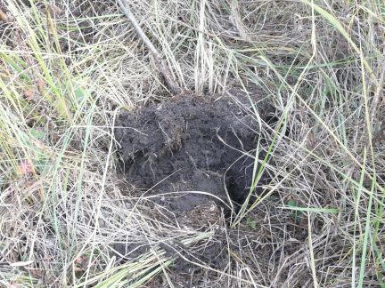 ������ ��������� ������� ��������� ��� ������� (���� �4)