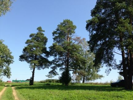 ������ ��������� ������� �� 59 �� �� ���� � �� �������� �����-4 ���������� ������� (���� �3)