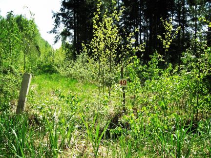 ������ ��������� ������� �� 90 �� �� ���� ���������� ����� ������� �������� ��� ��� (���� �2)