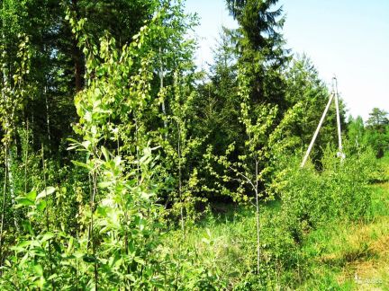 ������ ��������� ������� �� 90 �� �� ���� ���������� ����� ������� �������� ��� ��� (���� �3)