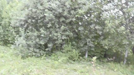 ������ ��������� ������� � ��� ���� ������� ����������� ������������� ����� (���� �5)