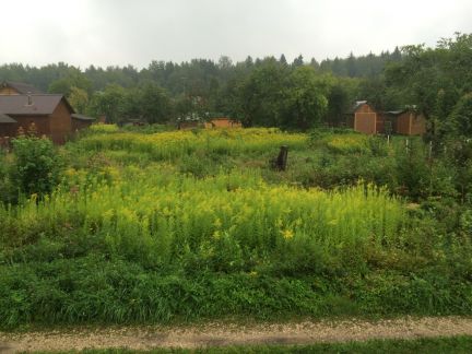 ������ ��������� ������� �� 55 �� �� ���� ������������� �������� (���� �4)