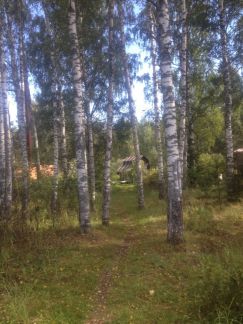 ������ ��� ���������� ���. �������� ����� �. ������ (���� �5)