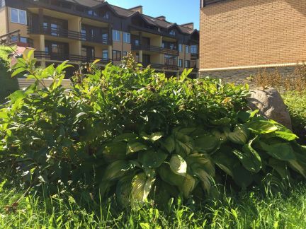 ������ ��������� ������� � �� ����� ��� �� 8 �� �� ���� (���� �2)