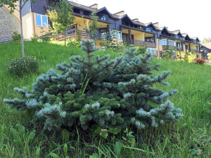 ������ ��������� ������� � �� ����� ��� �� 8 �� �� ���� (���� �3)