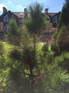 ������ ��������� ������� � �� ����� ��� �� 8 �� �� ���� (���� �4)