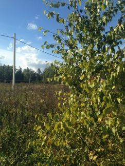 ������ ��������� ������� 8 ����� ��������� ��������� �� ������� (���� �3)