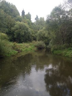 ������ ��������� ������� 8 ����� ��������� ��������� �� ������� (���� �7)