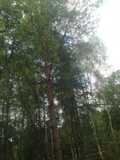 ������ ��������� ������� 8 ����� ��������� ��������� �� ������� (���� �8)