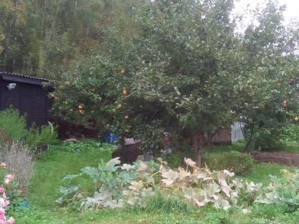 ������ ��������� ������� � ��� ��� (���� �3)