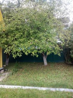 ������ ��������� ������� � ��� ������ ��������� ��������� (���� �4)