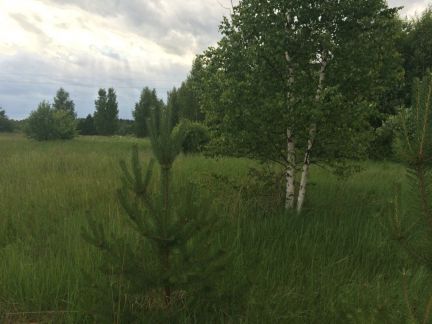 ������ ��������� ������� ������� ���������� (���� �2)