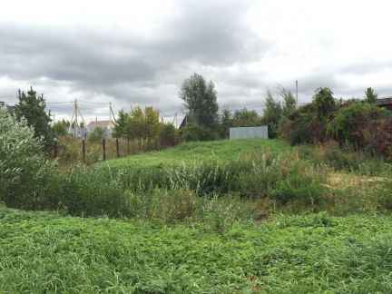 ������ ��������� ������� ��������� ����� �. �������� (���� �8)