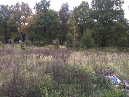 ������ ��������� ������� �� 5 �� �� ���� ����������� ����� ������� ������-2 (���� �2)