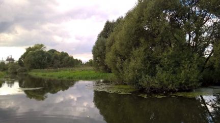 ����� ��������� ������� ���-��������� ���������������� ����� ����� ���������� ������ ���������� (���� �5)