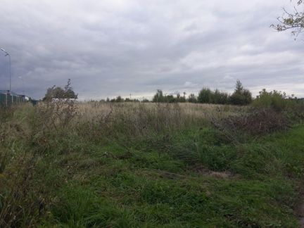 ������ ��������� ������� �. ��������� ��������� �-� ��������� ���. (���� �4)