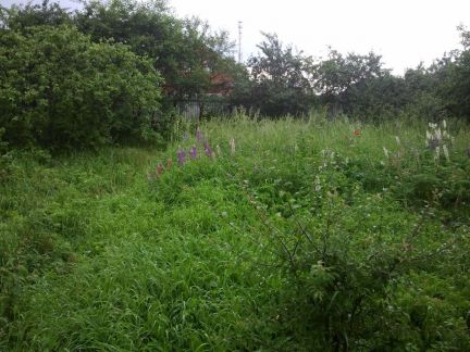 ������ ��������� � ��� ���� ������� ������ (���� �5)