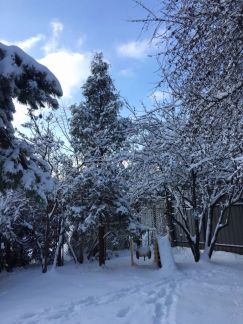 ����� ��� �� 27 �� �� ���� ��������� ����������� ����� (���� �9)