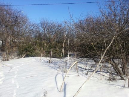 ������ ��������� ������� ���������� ������� ��������������� ����� ������� �������� (���� �5)