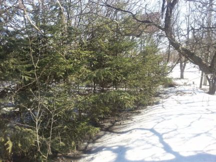 ������ ��������� ������� ���������� ������� ��������������� ����� ������� �������� (���� �6)