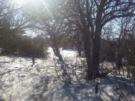 ������ ��������� ������� ���������� ������� ��������������� ����� ������� �������� (���� �7)