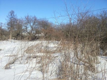 ������ ��������� ������� ���������� ������� ��������������� ����� ������� �������� (���� �8)