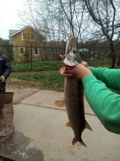 ������ ��������� ������� ���. �������� (���� �11)