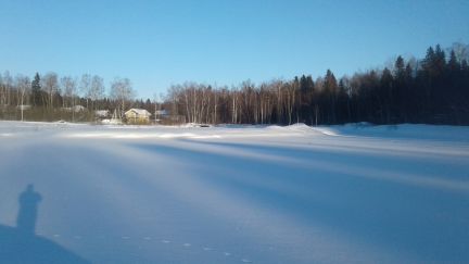 ������ ��������� ������� ���. �������� (���� �12)