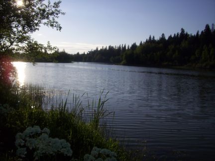 ������ ��������� ������� �� 75 �� �� ���� ������������� ����� ������-����� (���� �13)