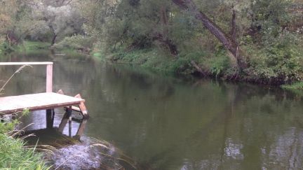 ����� ��� ��������� ������� ������� �� 50 �� �� ���� (���� �14)