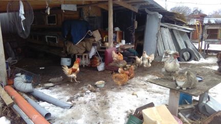 ������ ��� ���� ������� ���������� ����� (���� �6)