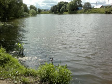 ������ ��������� ������� ��������� ����� �. �������� (���� �15)