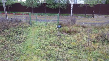 ������ ���� ��������� (���� �7)