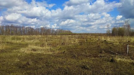 ������ ��������� ������� �� 100 �� �� ���� ��������� ����� (���� �7)