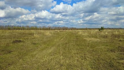 ������ ��������� ������� �� 100 �� �� ���� ��������� ����� (���� �6)