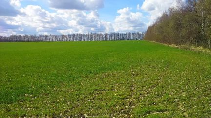 ������ ��������� ������� �� 100 �� �� ���� ��������� ����� (���� �5)