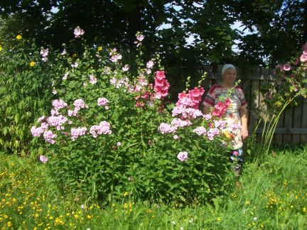 ������ ��������� ������� ��������� ����� ������� ���������� (���� �3)