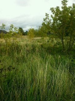 ������ ��������� ������� ��� ������ (���� �3)