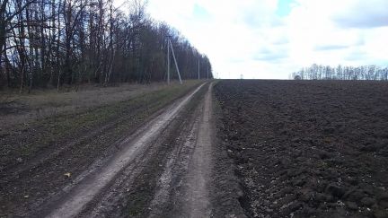 ������ ��������� ������� �� 100 �� �� ���� ��������� ����� (���� �2)