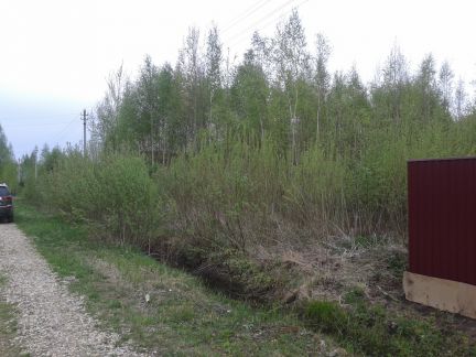 ������ ��������� ������� �� 101 �� �� ���� � ��� ����-���������-��������������� (���� �2)